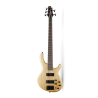 CORT ACTION DLX V AS OPN