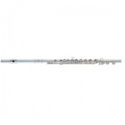 Flauta J. MICHAEL FL401 EN DO