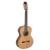 Guitarra PACO CASTILLO 204