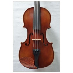 Violines SIELAM...