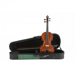 Violines Gliga Genial I  4/4 con estuche verde/negro