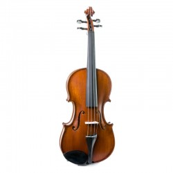 Violines Gliga Genial I  4/4 con estuche verde/negro