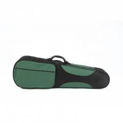 Violines Gliga Genial I  4/4 con estuche verde/negro