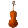 Violas Kreutzer School  12"