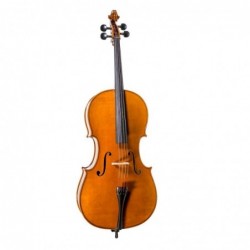 Cello Antonio Wang modelo...
