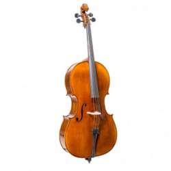 Cello Scott Cao Andante 3/4...