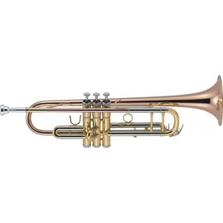 trompetas J.Michael TR450