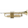 trompetas AMADEUS TP807L