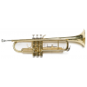 trompetas AMADEUS TR 600