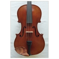 Viola Sielam Divertimento 14"