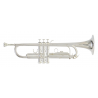 trompetas ROY BENSON TR202S