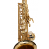 Saxofón  J.Michael AL500 LACADO