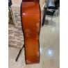 Guitarra Paco Castillo 213F