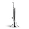 EXCALIBUR