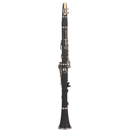 CLARINETE AMADEUS CL-804N1