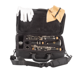 CLARINETE J. MICHAEL CL360