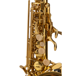 SAXO SOPRANO AMADEUS CURVO SSC690