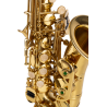SAXO SOPRANO AMADEUS CURVO SSC690