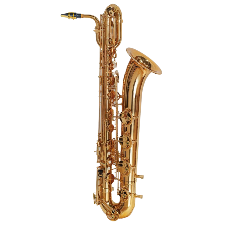 SAXO BARÍTONO AMADEUS BS810