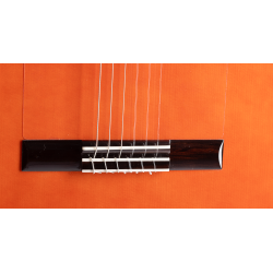 ADMIRA ALEGRÍA SERIE FLAMENCO CUT.FISHMAN