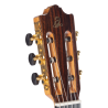 ADMIRA LOLA SERIE FLAMENCO