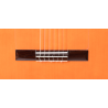 ADMIRA LUCIA SERIE FLAMENCO CUTAWAY FISHMAN ROJA