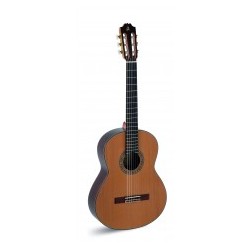 Guitarra ADMIRA A15 EF