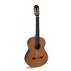 Guitarras ADMIRA A15