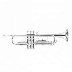 trompetas BACH TR300H2...